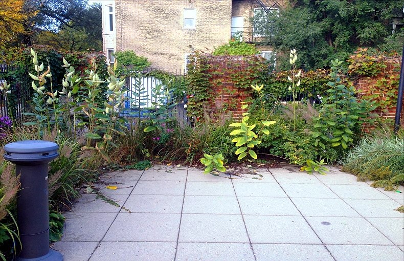 Before weeding the beds